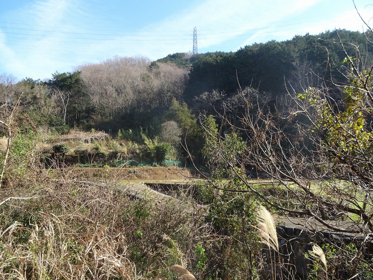 【田方郡函南町桑原のアパートの眺望】