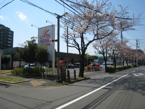 スーパー　リブレ京成　新柴又店（スーパー）まで411m