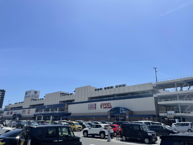 ドラックストア　スギドラッグシャンピアポート店（ドラッグストア）まで307m