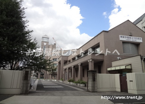 小学校　暁星小学校（小学校）まで600m