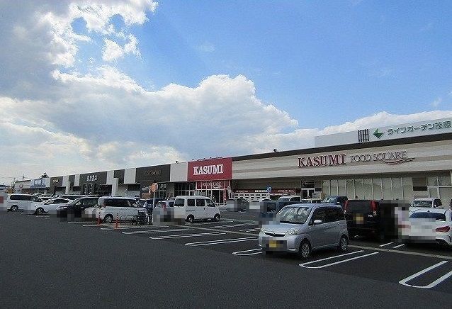 ショッピングセンター　ライフガーデン茂原店（ショッピングセンター）まで3200m