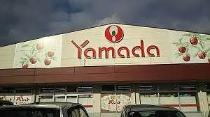 その他　ヤマダストアー花田店  600m