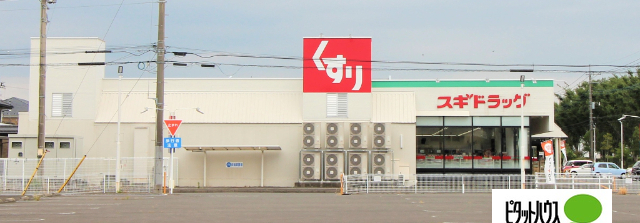 ドラックストア　スギドラッグ伊勢崎店（ドラッグストア）まで924m