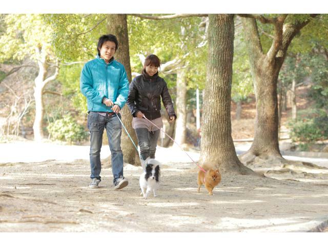 公園　浜松城公園（公園）まで100m