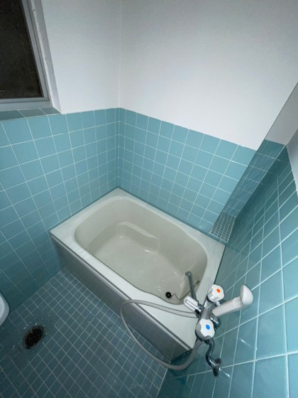 バス・シャワールーム　※別部屋の写真です