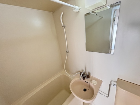 洗面設備　※別号室の写真です