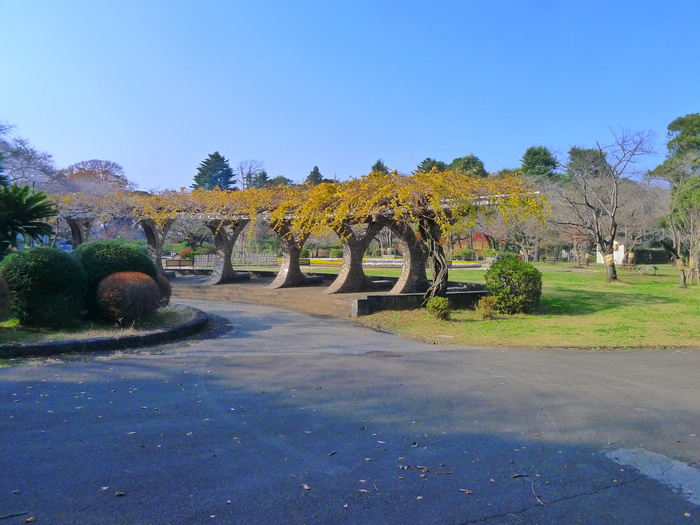 公園　里見公園（公園）まで1200m