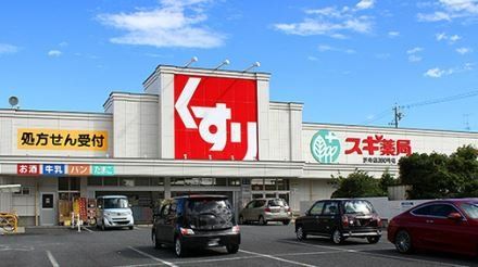 ドラックストア　スギ薬局笠寺東店（ドラッグストア）まで790m