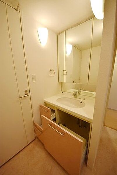 洗面設備　※別部屋の参考写真です。