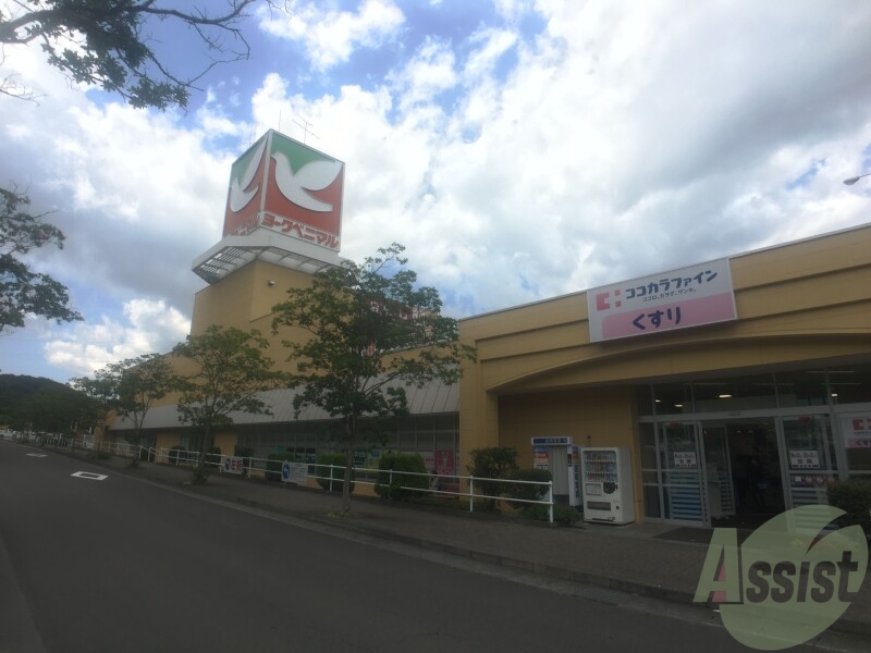 スーパー　ヨークベニマル泉古内店（スーパー）まで1219m