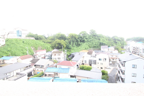 眺望　※別室の写真です