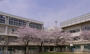 小学校　江東区立八名川小学校（小学校）まで430m