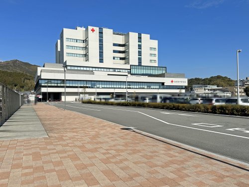 病院　高知赤十字病院（病院）まで1133m