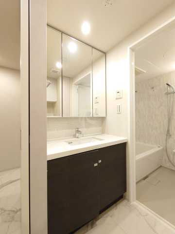 洗面設備　ザ・パークハビオ高円寺レジデンス