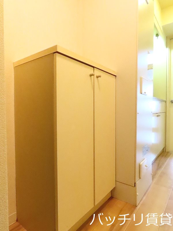 玄関　画像は別号室タイプの為、現状を優先致します。