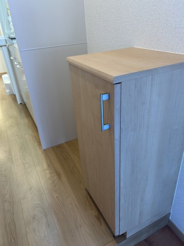 玄関　シューズボックス付