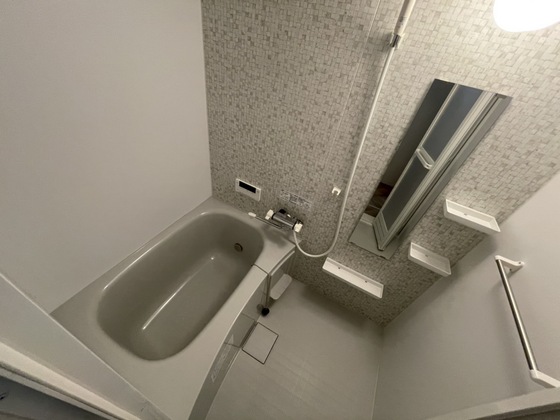 バス・シャワールーム　※別部屋の写真です