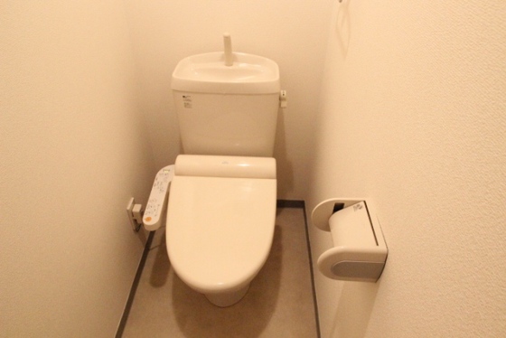 トイレ　※他号室の写真です。