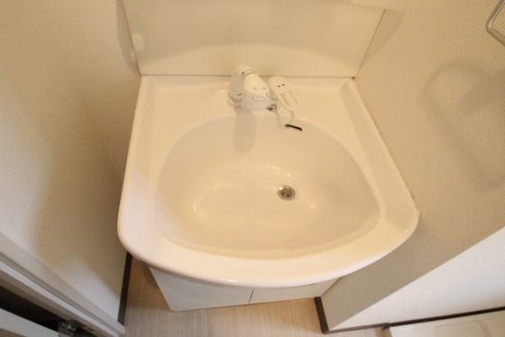 洗面設備　※他号室の写真です。