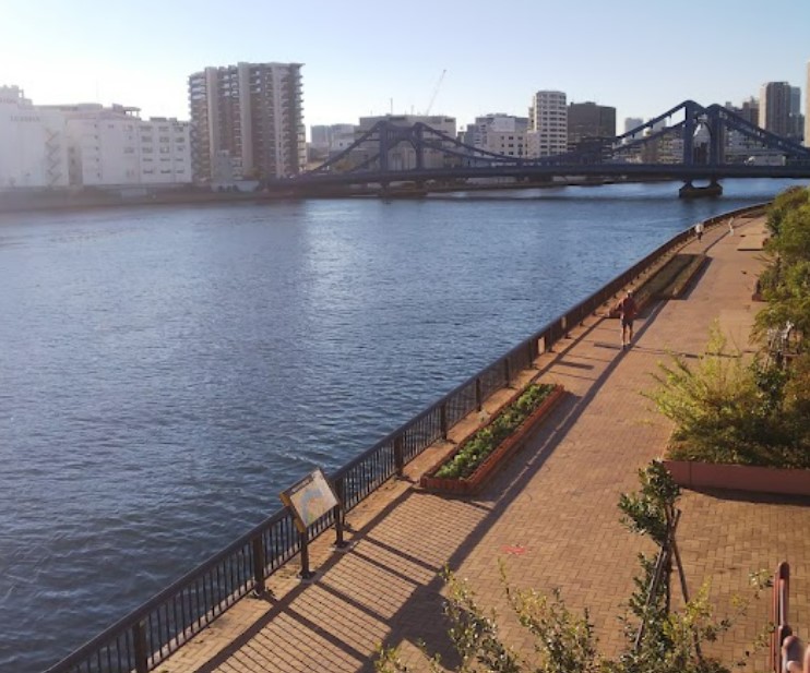 公園　中洲公園（公園）まで197m