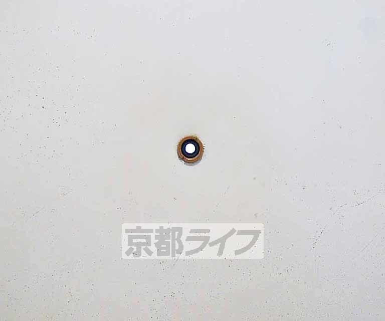 セキュリティ　来客時も安心です。