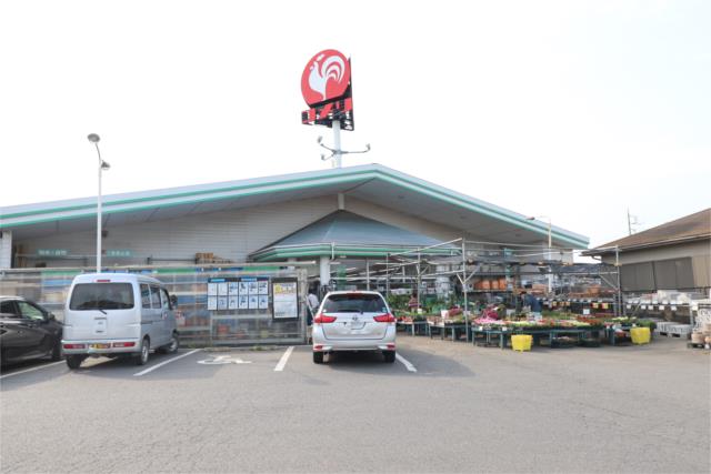ホームセンター　コメリ　ハード＆グリーン猿島店（ホームセンター）まで1368m