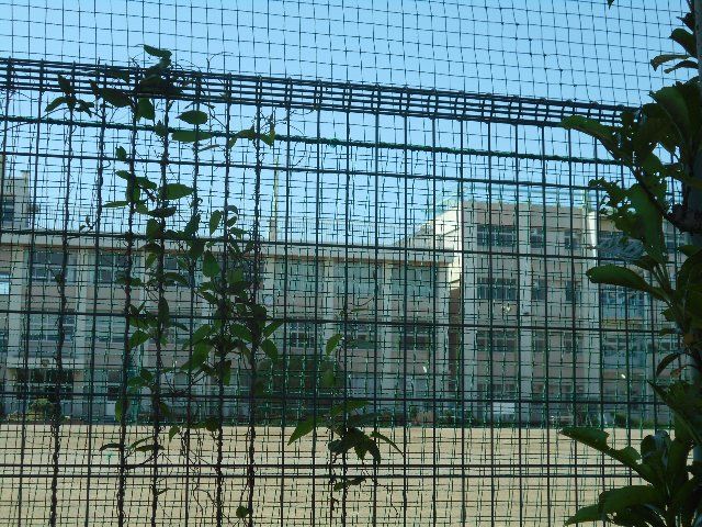 中学校　川口市立芝西中学校（中学校）まで603m