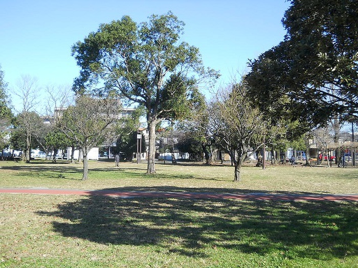 公園　三ツ和公園（公園）まで250m