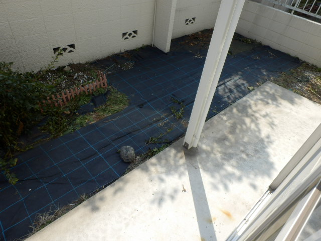 庭　テラス