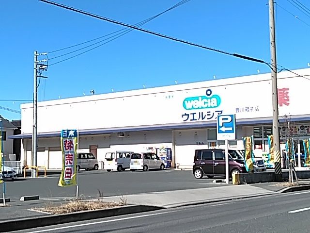 ドラックストア　ウエルシア 豊川蔵子店（ドラッグストア）まで1207m
