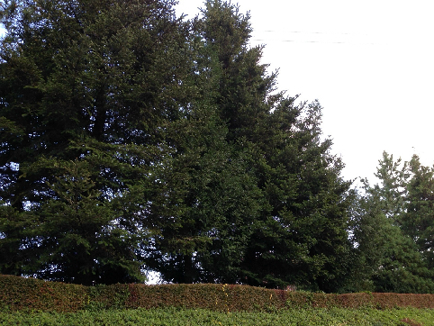 公園　平出工業団地緑地（公園）まで865m