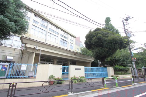 小学校　文京区立関口台町小学校（小学校）まで874m