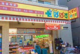 ドラックストア　どらっぐぱぱす住吉店（ドラッグストア）まで338m