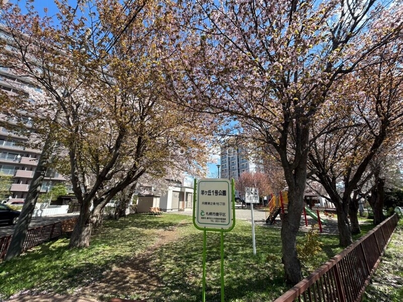 公園　羊ヶ丘1号公園（公園）まで171m