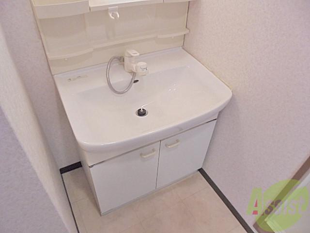 洗面設備　使いやすそうな洗面台です、シャンプードレッサーで頭も洗う？