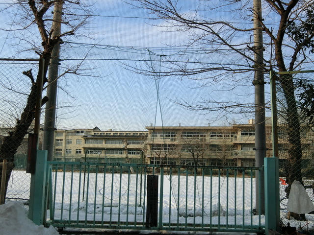 中学校　さいたま市立桜木中学校（中学校）まで1200m