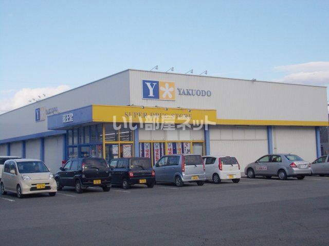 ドラックストア　薬王堂黒沢尻店（ドラッグストア）まで1025m