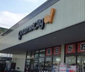 スーパー　グルメシティ尼崎大庄店（スーパー）まで580m