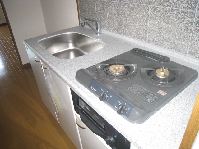 キッチン　同物件、別号室のものです。