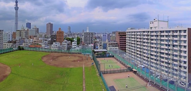 その他　区営亀戸野球場（その他）まで290m
