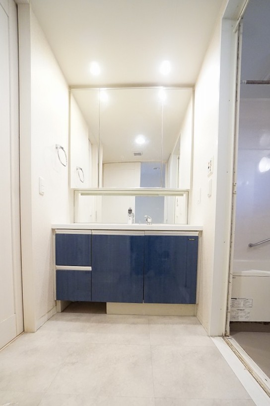 洗面設備　左側に洗濯機置き場