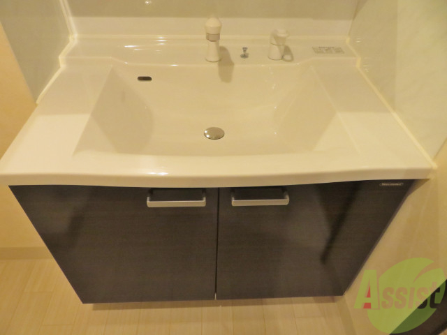 洗面設備　こちらの洗面台はシャンプードレッサー付きですよ