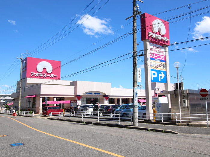 スーパー　アオキスーパー（スーパー）まで700m