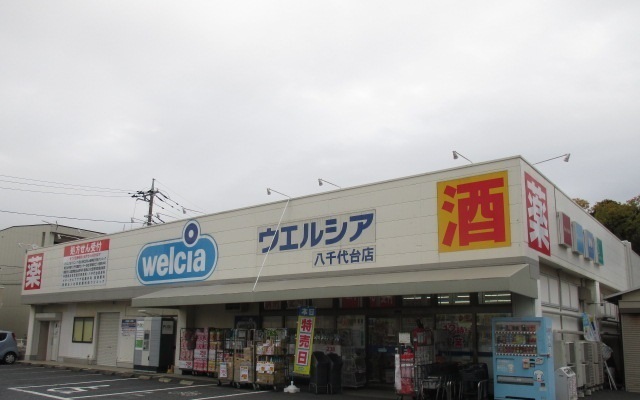 ドラックストア　ウエルシア（ドラッグストア）まで800m