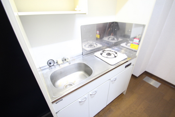 キッチン　※別号室の写真です