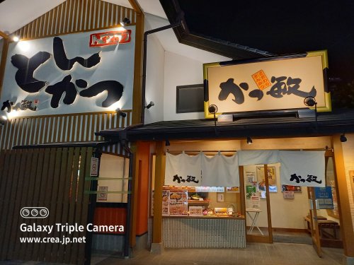 飲食店　かつ敏（飲食店）まで740m