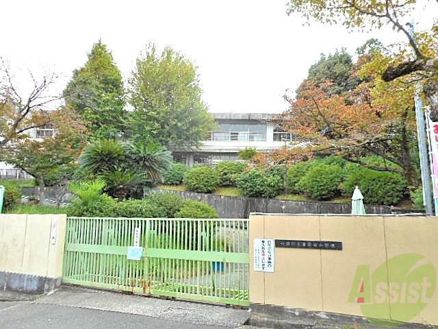 小学校　津雲台小学校（小学校）まで407m