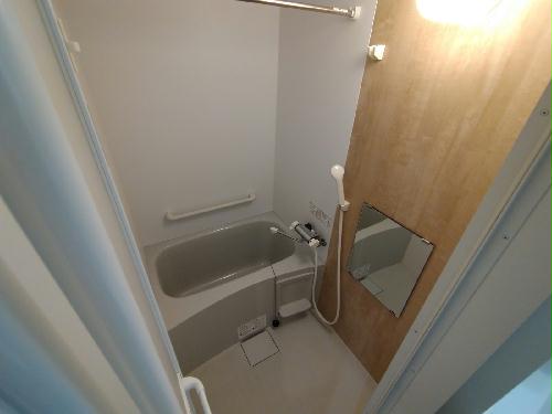 バス・シャワールーム　鏡・手摺付きです♪