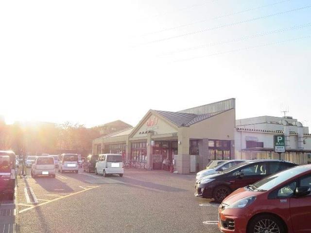 スーパー　アルビス（スーパー）まで1006m