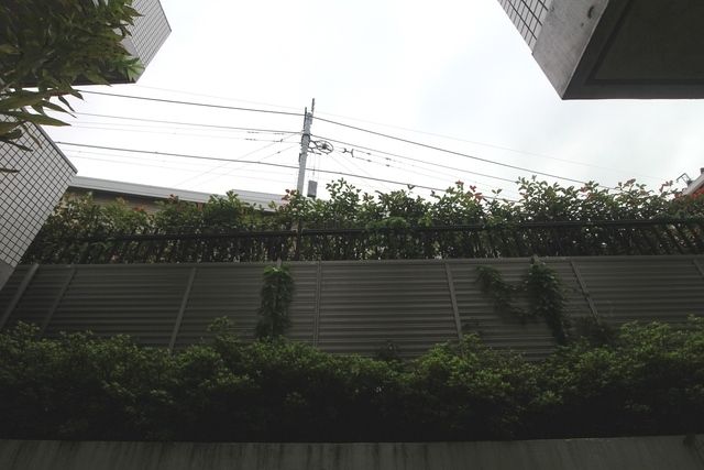 眺望　★景色★